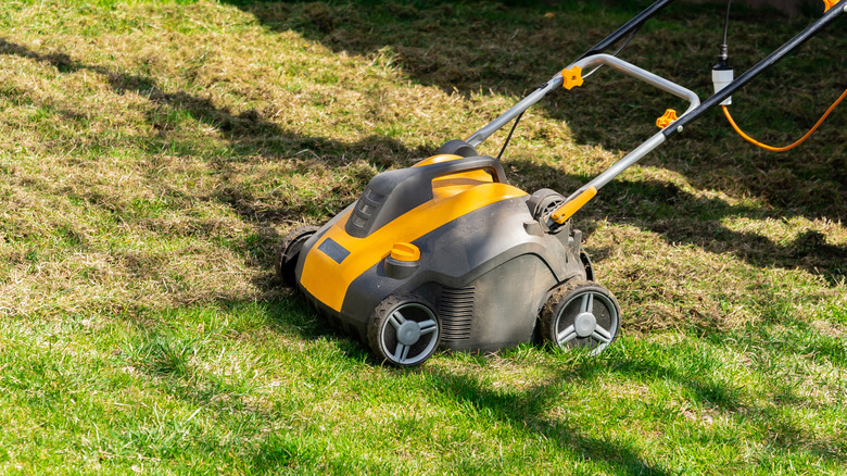 Dethatcher on lawn